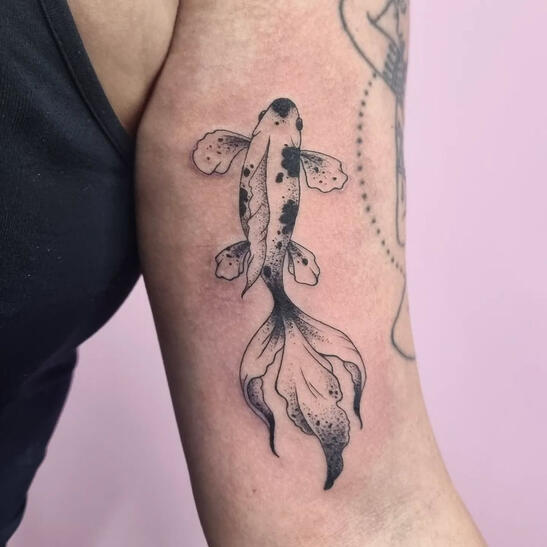 Tattoo artist Athy, Co. Kildare. Ireland. Tattoo studio. Designs. Ideas. Blackwork. Dotwork. Fineline. Cover up.